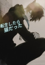転生したらネコだった!!