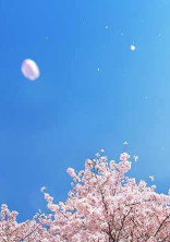 ズッキュン!!(๑º ロ º๑)➵💓💭( ᐛ)バナナ