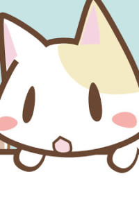 活動について
