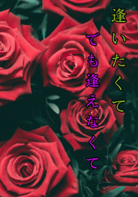 逢いたくてでも逢えなくて