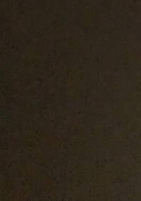 隣の家は....
