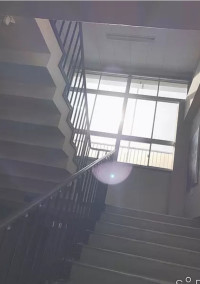ハチャメチャキメ学!!
