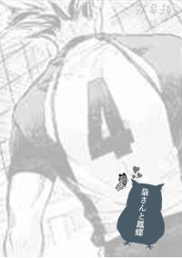 【続】梟さんと鳳蝶