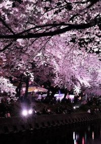 私の人生【更新停止】