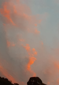 ヘルプ