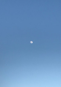 ねぇ