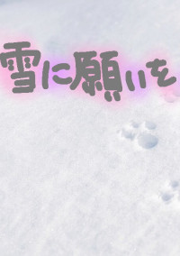 雪に願いを__