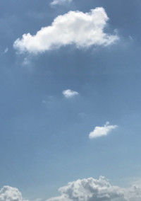 青天井