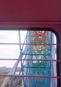 4つ葉のクローバー