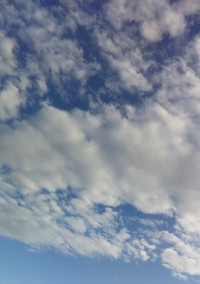 すと短編