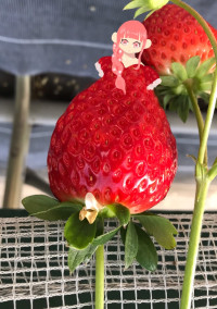 優しくして…