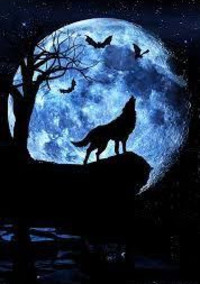 〜人狼ゲーム🐺👤〜