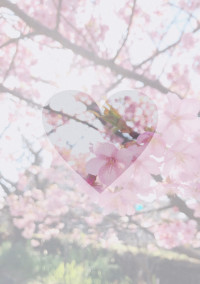 wrwrd! 察し(r18有り)