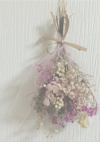 なにわの華⸜🌷︎⸝