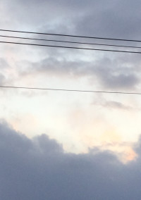 拾ってしまった