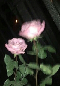 雑談🥀.