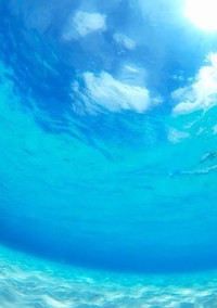海の中の君