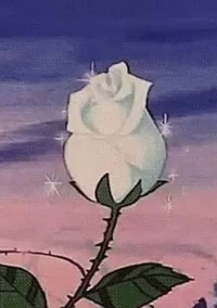 私は姫にはなれませんか?