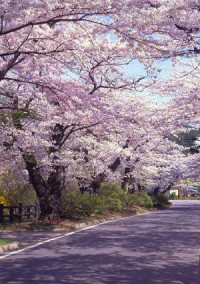 最後のチャイムとともに