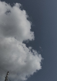 気づけなかった僕達は。