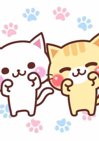 みーこの決断