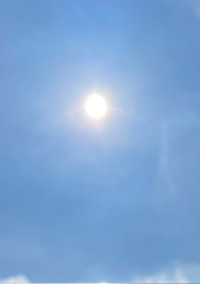 ○○の一日
