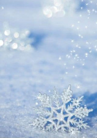 雪 合 戦 .