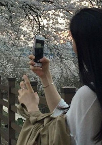 情死