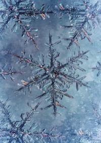 鬼滅の刃「雪柱の悲痛」