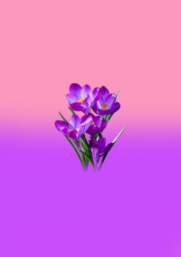 ごめんね、もう、疲れた。