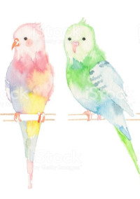 インコ飼い始めて恋愛っておかしくない?【d!!】