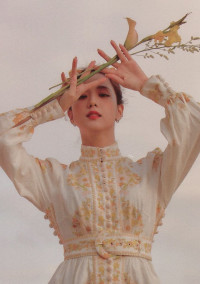 皇宮の華