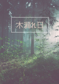 木漏れ日