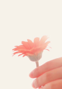 私はきっと2番目の女