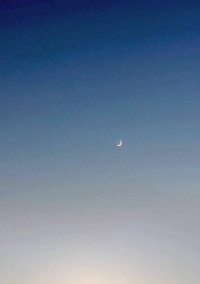 骨の髄まで愛してる.