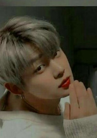 20cm