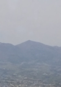 異種コンっ!
