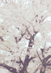 やっと会えた。