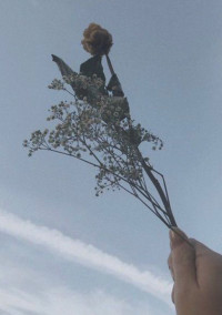 前世も来世もあなたのことを愛しています。