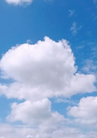 失恋。