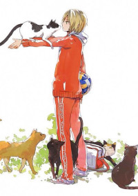 音駒には子犬がいました