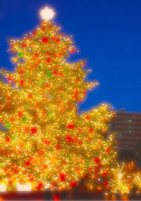 クリスマスの片想い