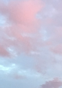 こんなことになるなんて。