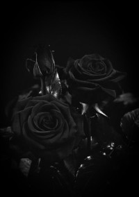I can't let you go.