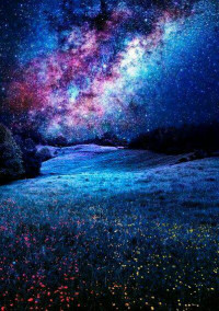 星の降る夜