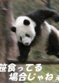 雑談じゃ!
