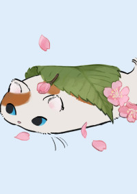 色々部屋