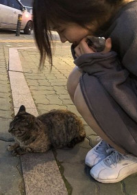 く ノ 一