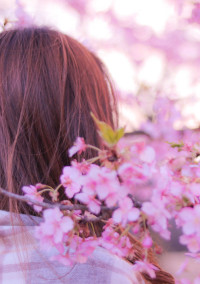 生まれ変わっても、あなたのワンコ▼・ェ・▼