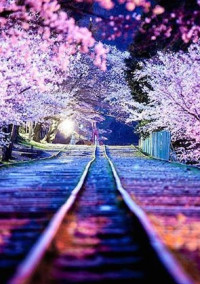 明智光秀がこんなにイケメンとか聞いてない